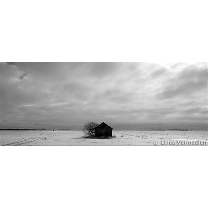 Bleak House