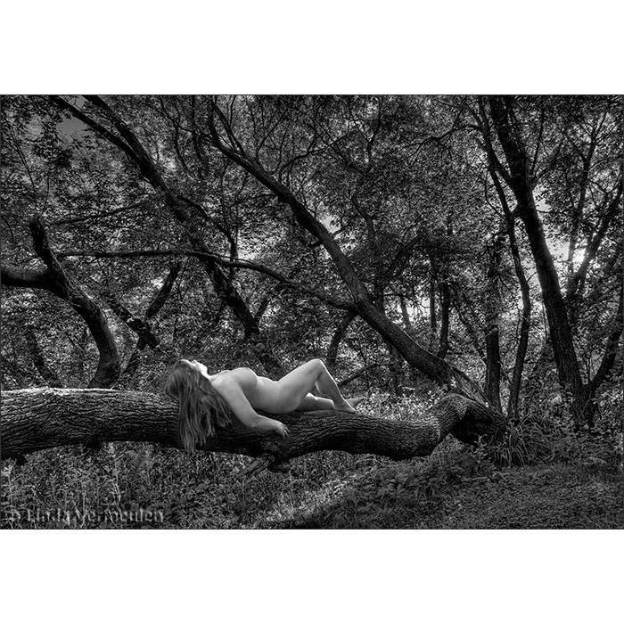 Shadowland