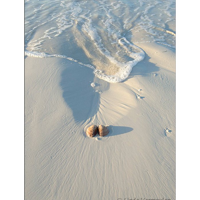H2O Image
