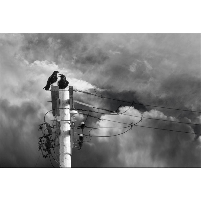 Storm Warning