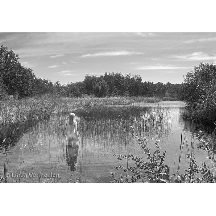 Absorbed by the Landscape Image