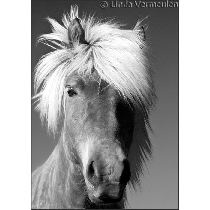 The Warhol-Look